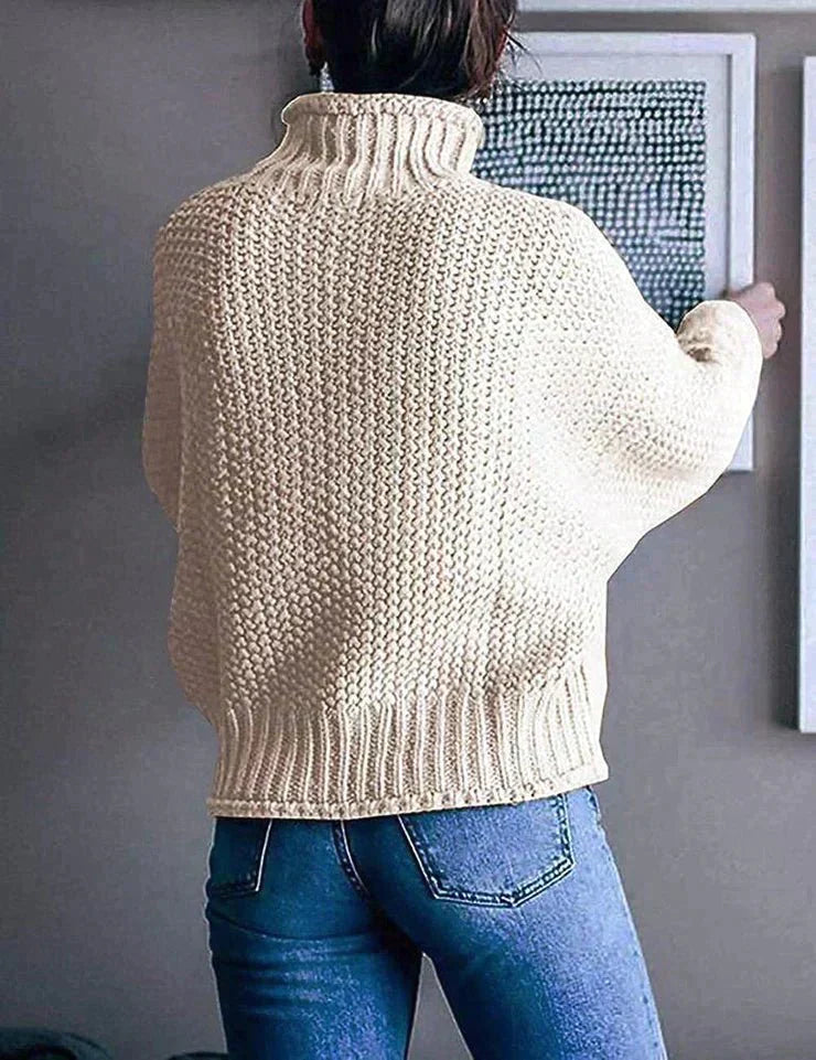 Chunky knit turtleneck sweater for women